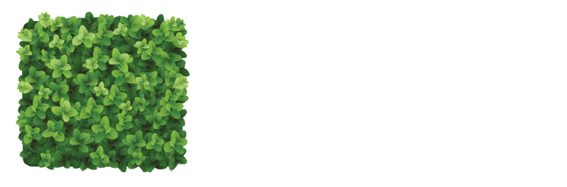 Boxwood Design Studio